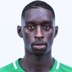 P. Ndiaye