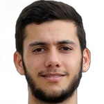 M. Semreen